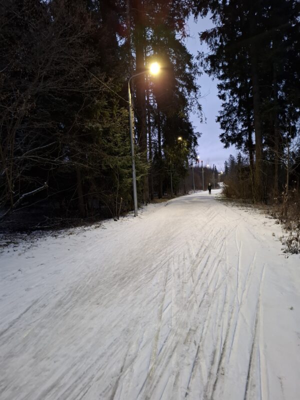 Трасса лыжероллерная Зеленоград Савелки, состояние на 22 декабря 2025 по отзыву, фото 8. 